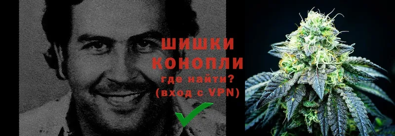 Бошки марихуана LSD WEED  blacksprut рабочий сайт  Приморско-Ахтарск 